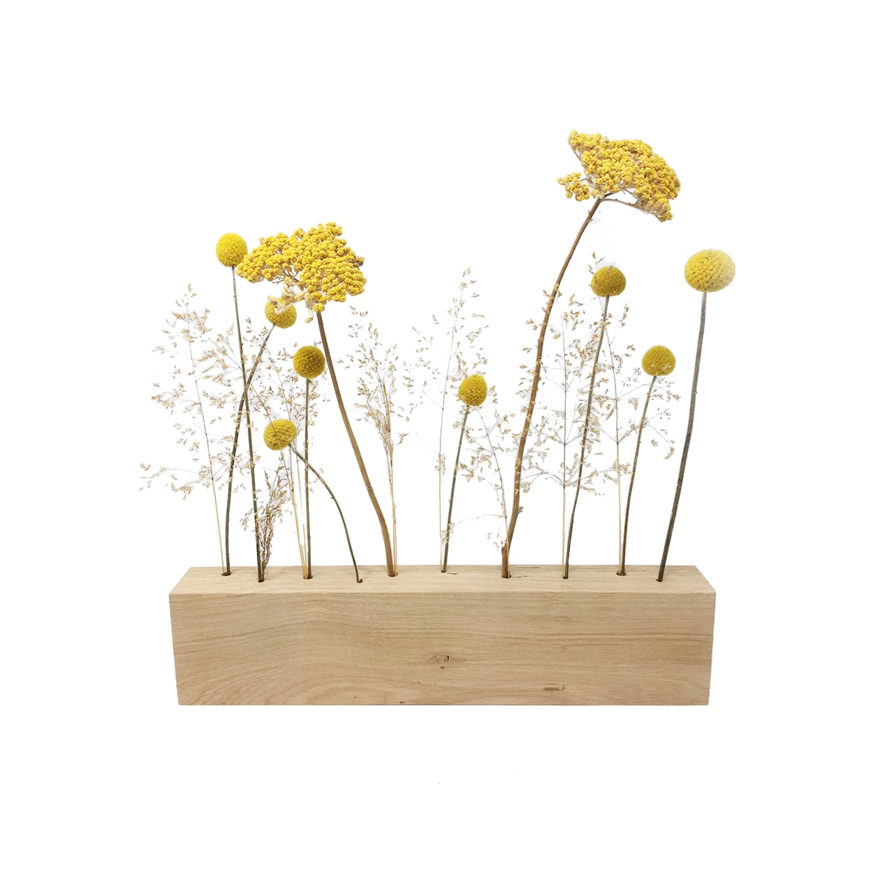 Blumenwiese